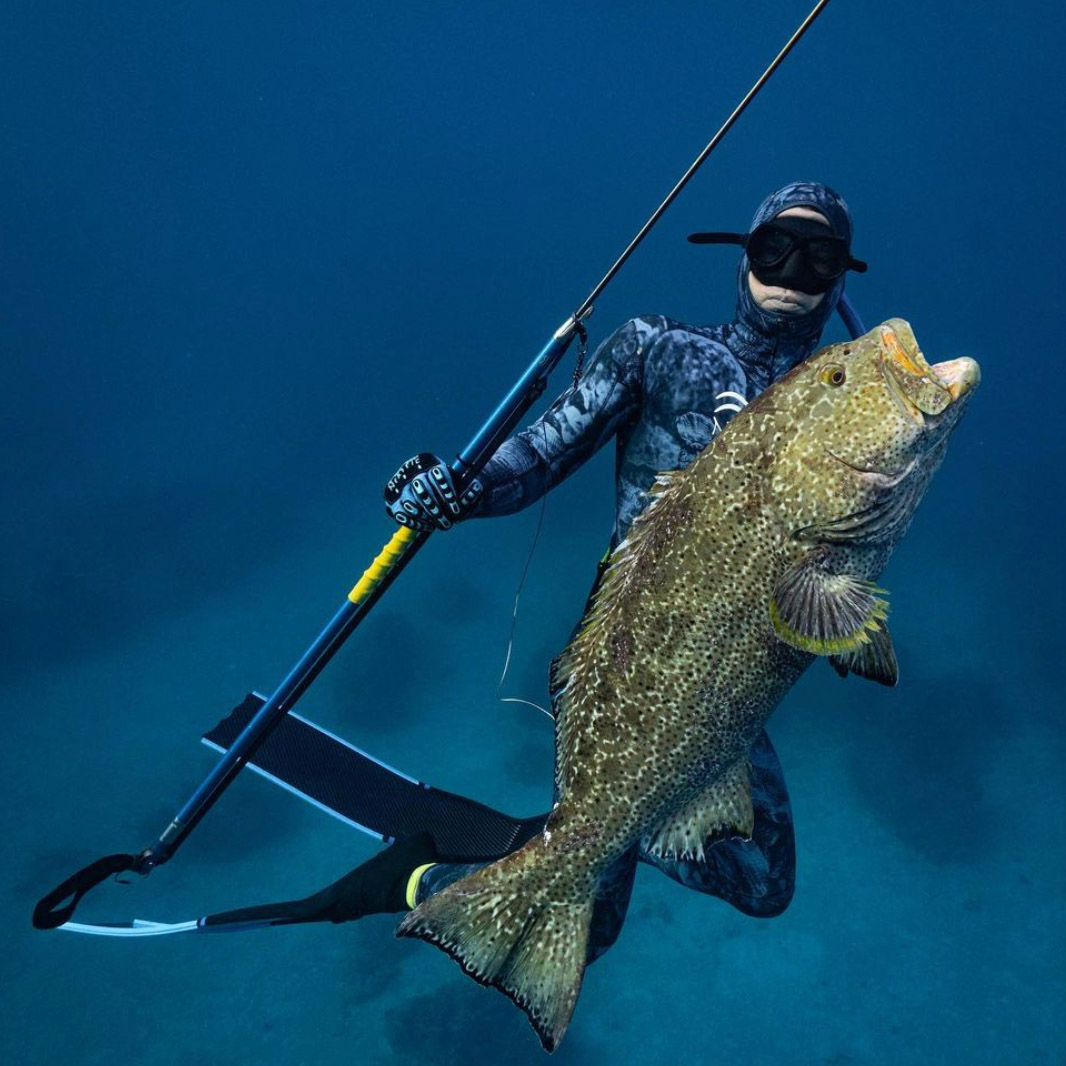 Polespear Denty Spearfishing - 3 points - Nootica - Water addicts