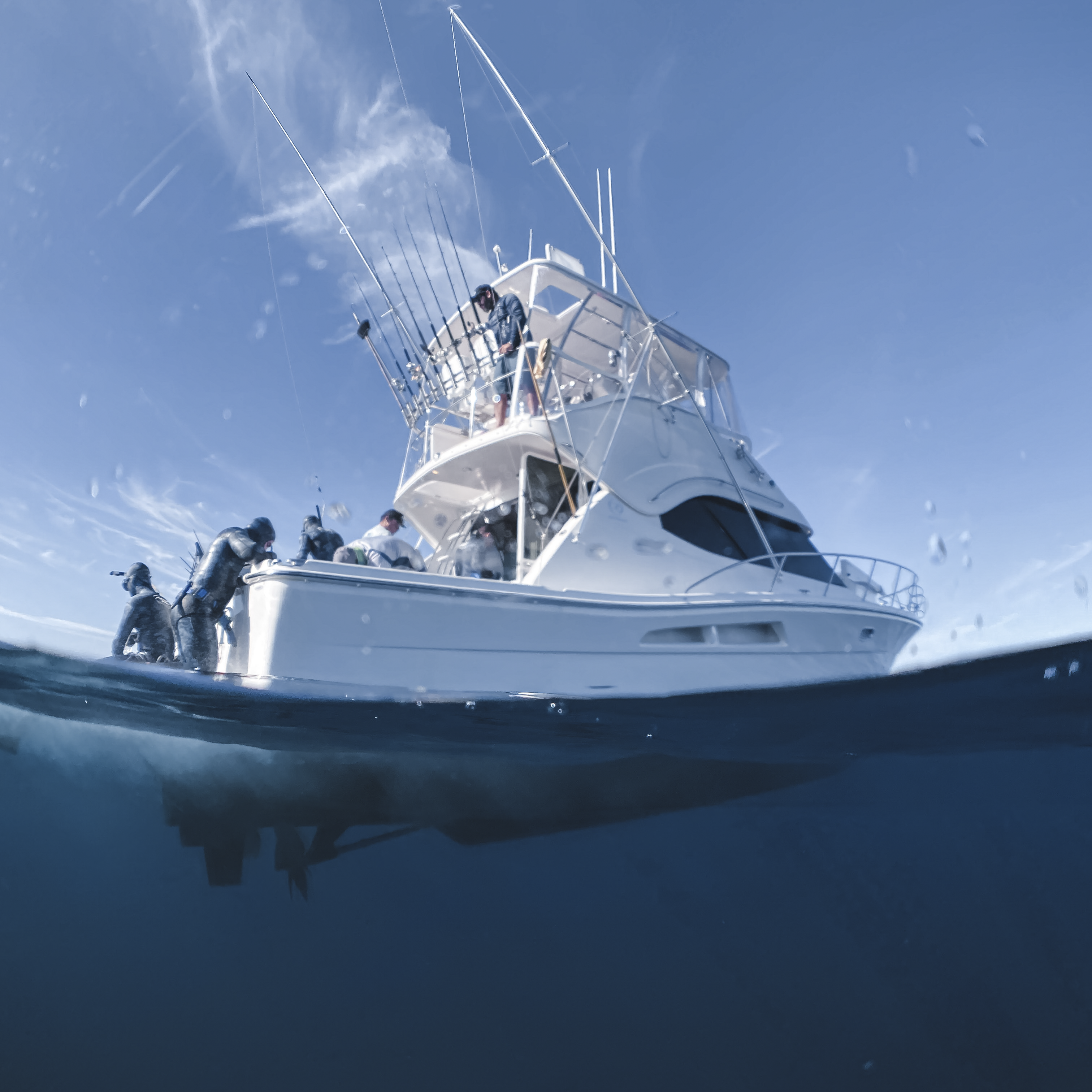 Spearfishing Expeditions