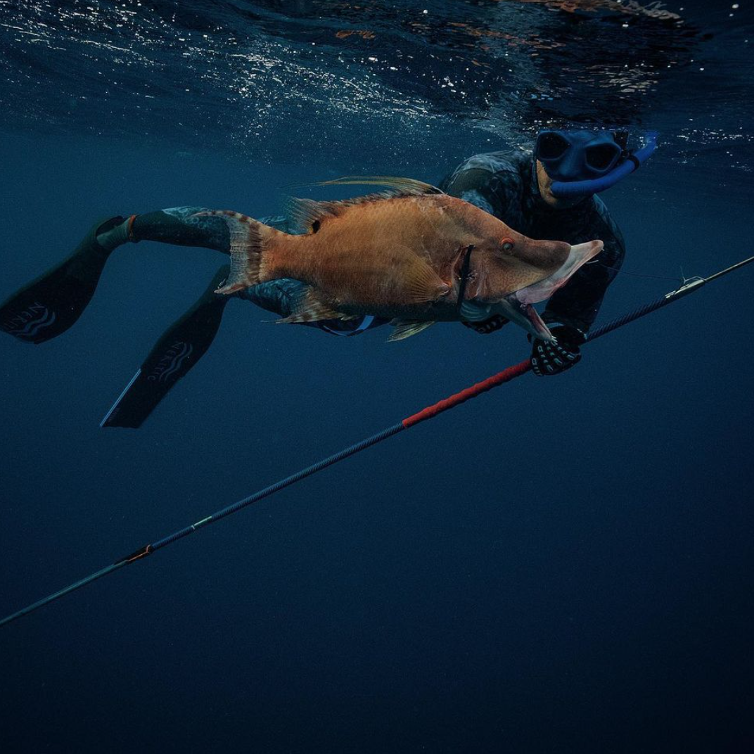 Blue Reaper Roller Pole spear