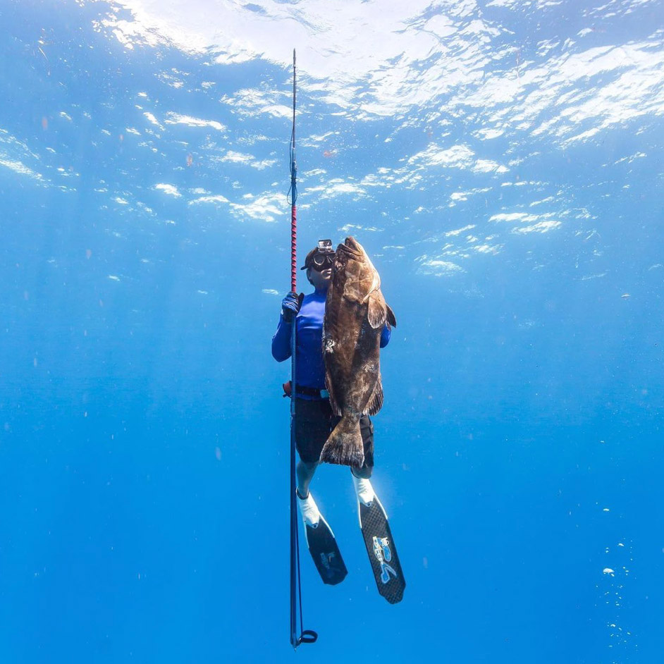 Miami Skin Diver Series (MSD)