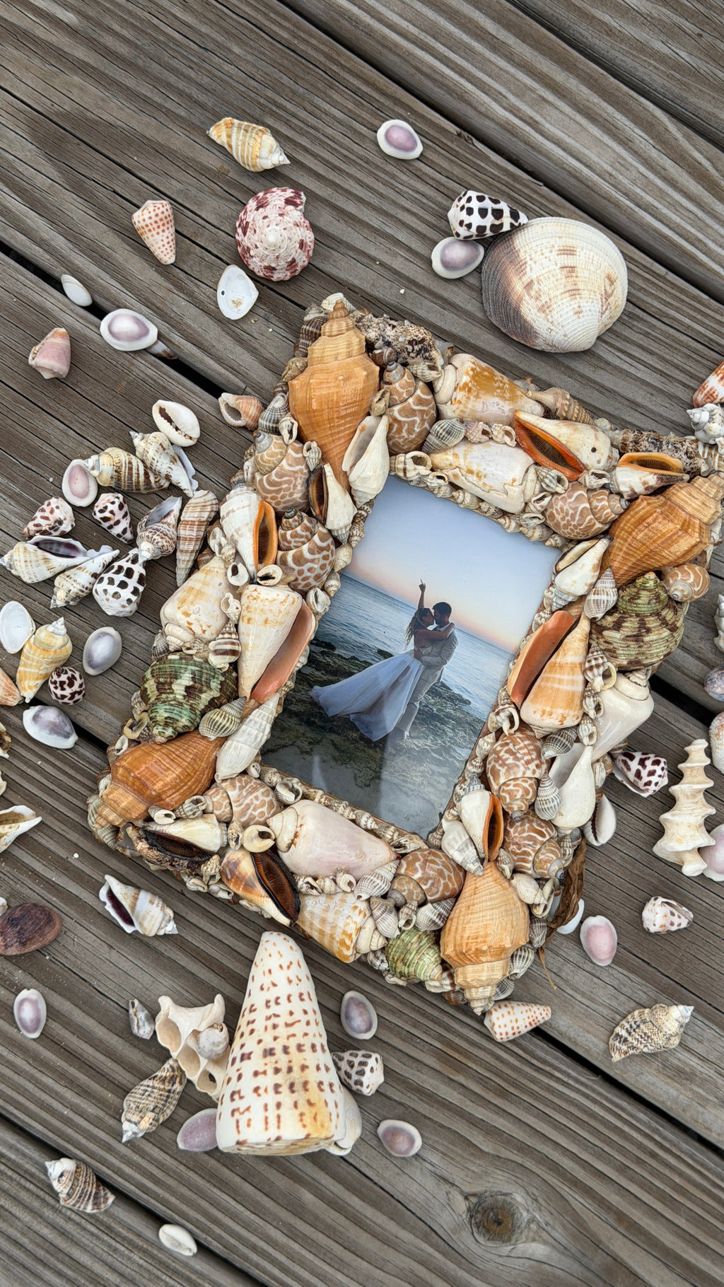 Shell Crafts