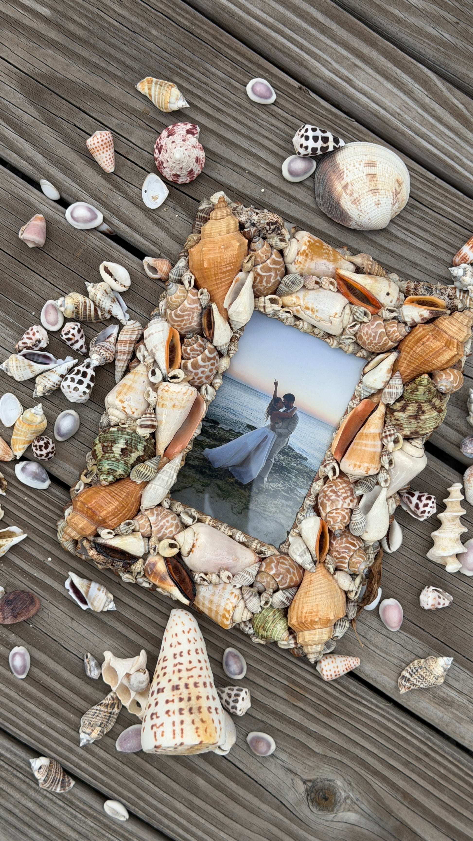 Shell Crafts
