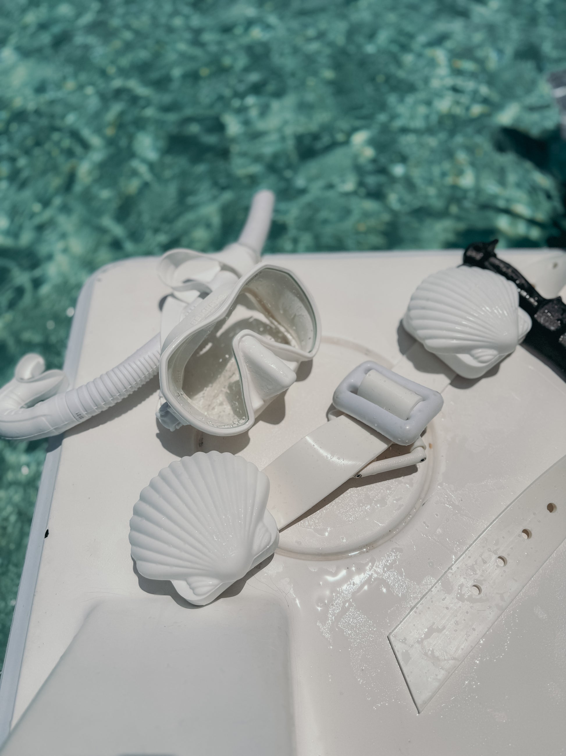 Shell Weight Cover