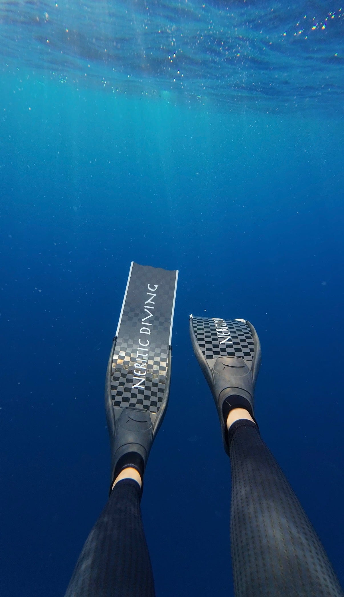 (NEW) Neritic Carbon Blades