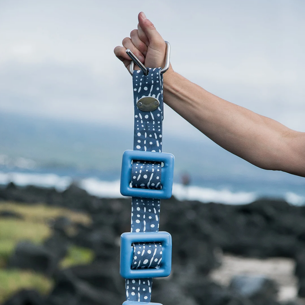 Whale Shark Belt by Bright Buoy