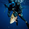 3-Day Neritic Spearfishing Course