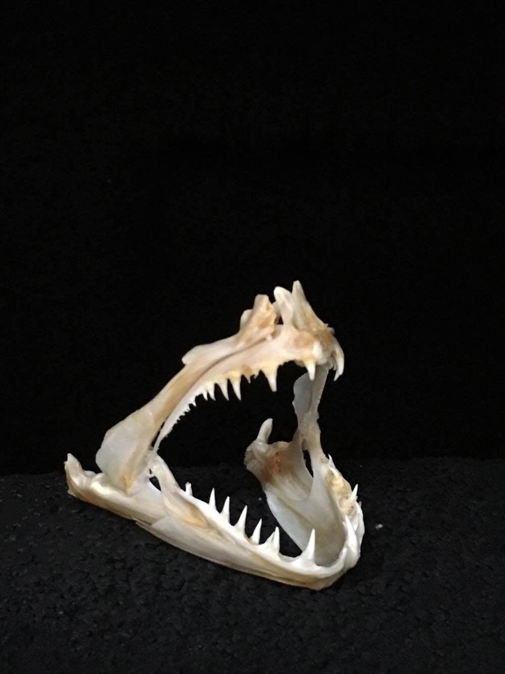 Jaw Mounts