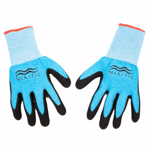 Neritic Phantom Spearfishing Gloves