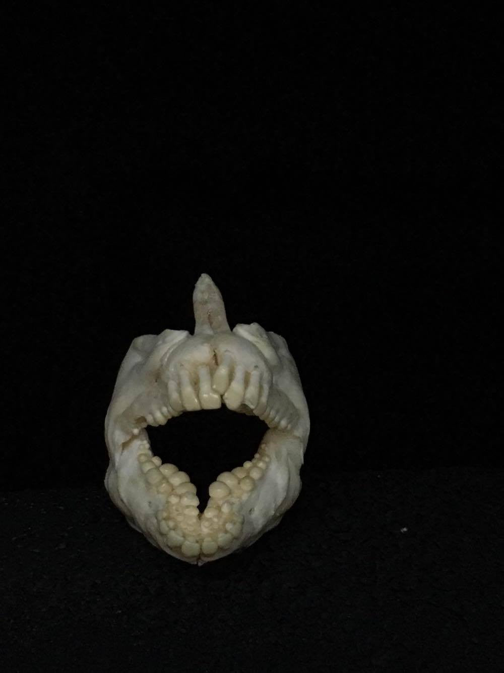 Jaw Mounts