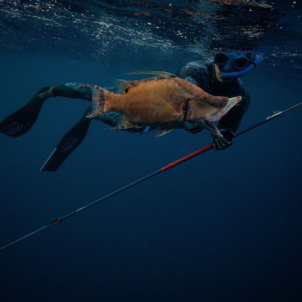 Blue Reaper Roller Pole spear