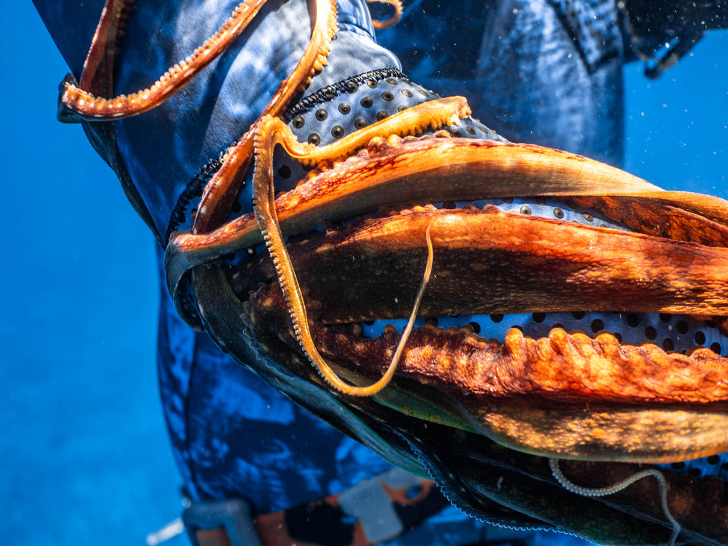 3mm Open Cell Wetsuit - Blue Trilobite Camo