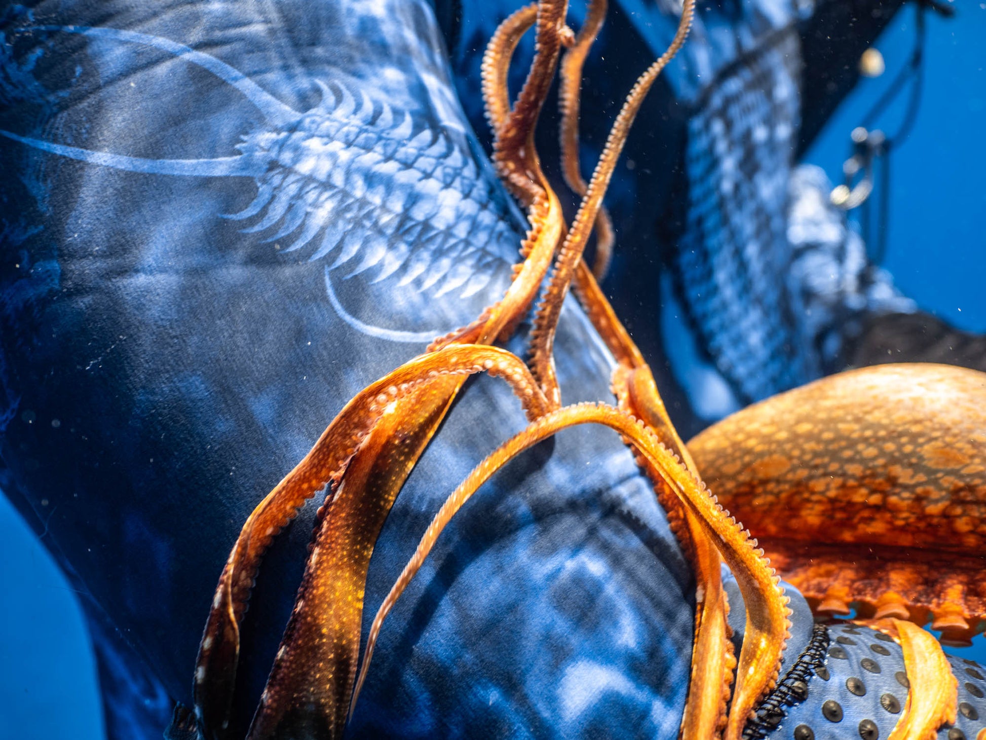 3mm Open Cell Wetsuit - Blue Trilobite Camo