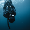 PADI Freediving Course