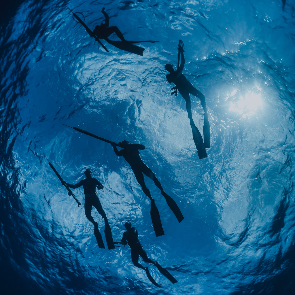 3-Day Neritic Spearfishing Course